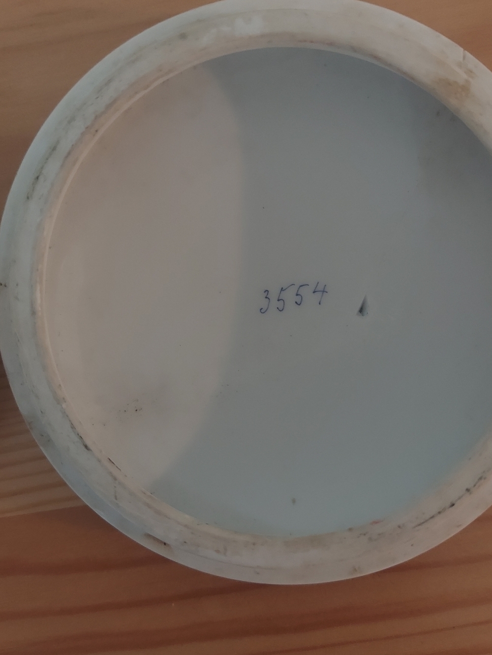 Parrot Container - Picture 6 of 7